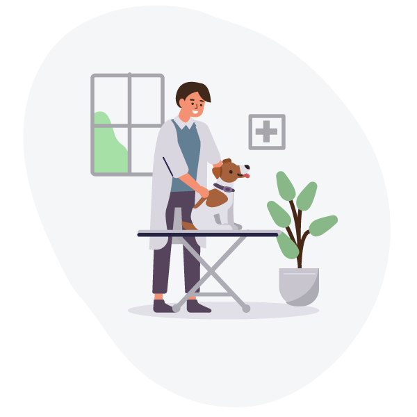 Vet care-Houma, LA